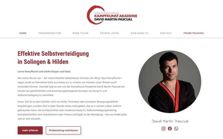Website Kampfkunst Akademie David Martin Pascual – Webdesign Siegmund